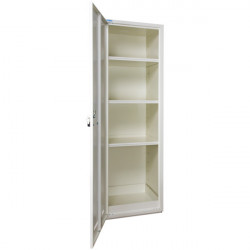 Safety Cabinet for Toxic and Reactive Substances