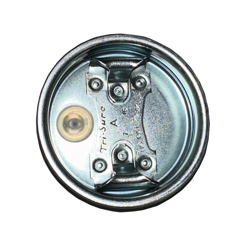 2" Steel Degassing Plug