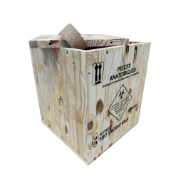 Caisse Anatomique 31L classe 6 pour crémation