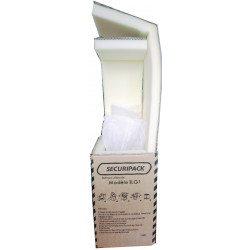 Carton 4GV Securipack 0.25L