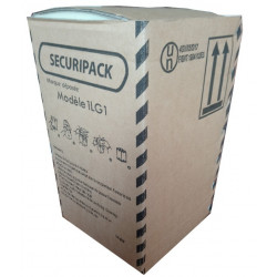 Securipack 4GV Carton, 0.25L