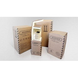 Carton 4GV Securipack 0.25L