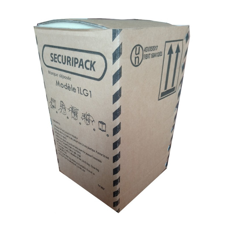 Carton 4GV Securipack 0.25L