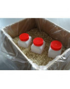 Industrial Absorbent Granules for Chemicals | SD Pack